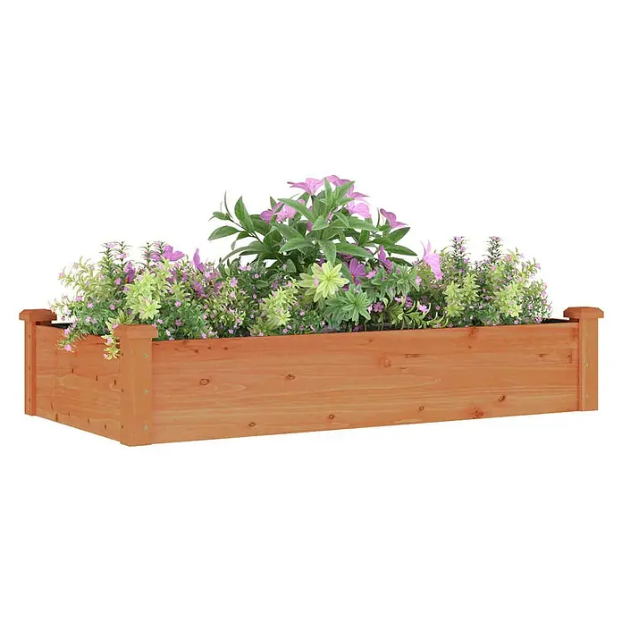 Furnicato Hochbeet - 60 x 120 x 25 cm, Holz, Braun - Hölzernes Hochbeet, rotbraun, gefüllt mit grünen Pflanzen und rosa Blüten.