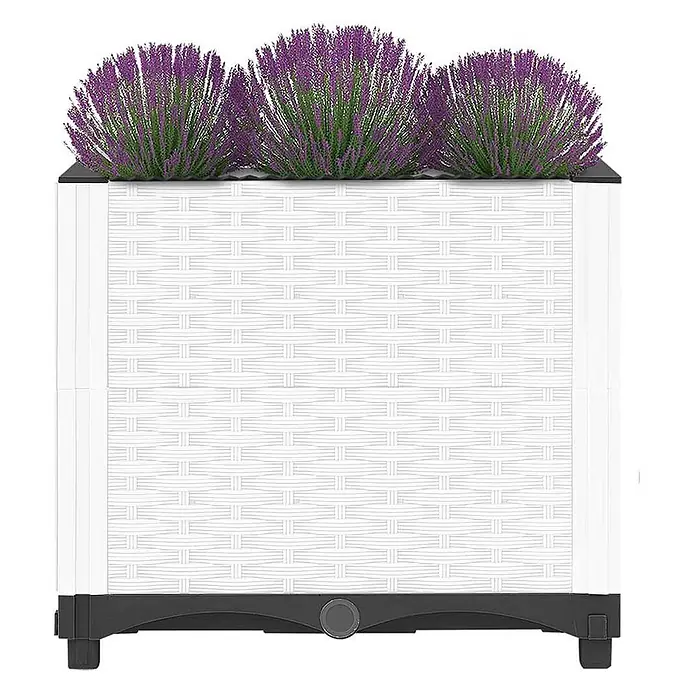 Furnicato Hochbeet - 40 x 40 x 38 cm, Kunststoff, Weiß - Weißer Pflanzkasten aus Kunststoff im Korbflechtdesign mit schwarzem Rand und drei Lavendelpflanzen.