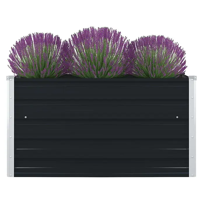 Furnicato Hochbeet - 100 x 100 x 45 cm, Metall, Anthrazit - Schwarz gewelltes Metall-Hochbeet mit silbernen Eckhalterungen, gefüllt mit drei üppigen lila Blütenpflanzen.
