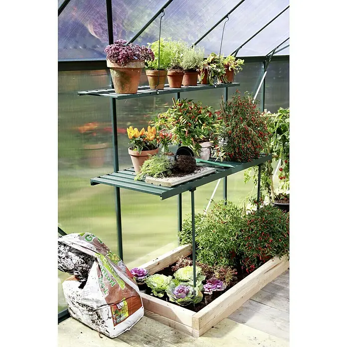 Vitavia Anzuchttisch - 56 x 120 x 81 cm, Smaragd - Gewächshausansicht mit Pflanzen auf Regalen und in einem Pflanzkasten, darunter Chili-Pflanzen und Zierkohl.