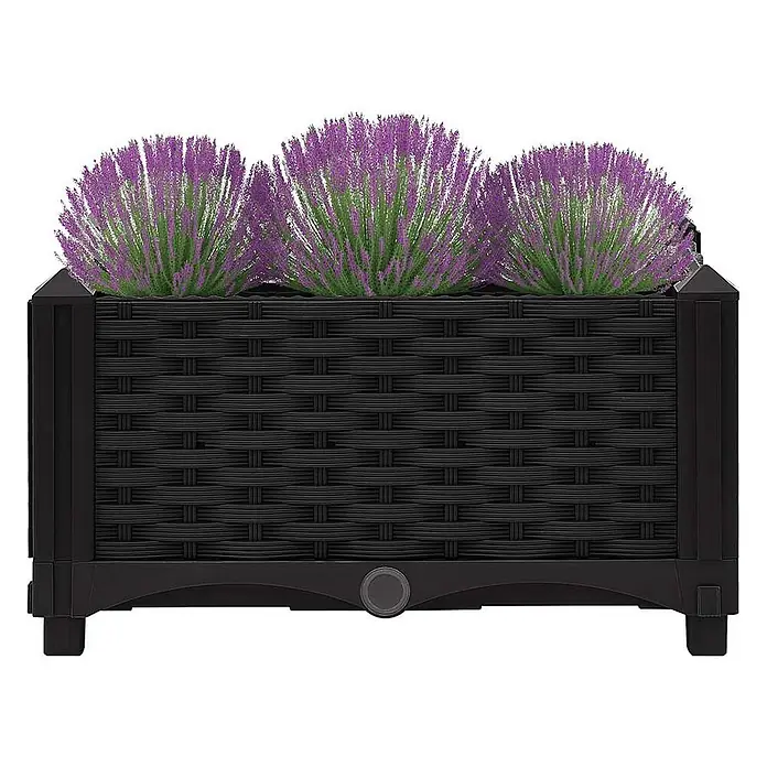 Furnicato Hochbeet - 40 x 40 x 23 cm, Kunststoff, Schwarz - Schwarzer geflochtener Kunststoff-Pflanzkasten mit drei violetten Blütenpflanzen.