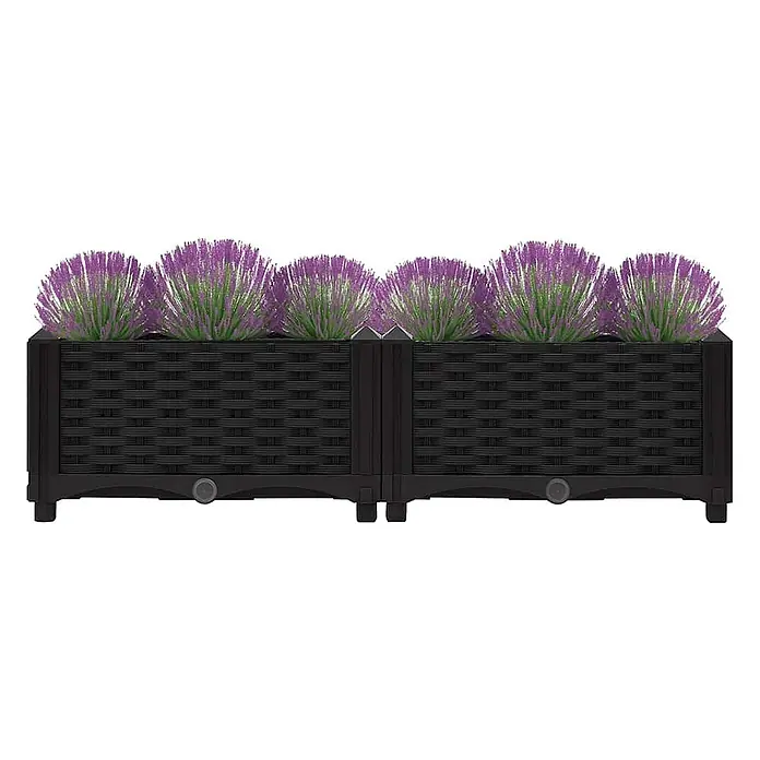 Furnicato Hochbeet - 80 x 40 x 23 cm, Kunststoff, Schwarz - Zwei verbundene schwarze Rattan-Pflanzkästen mit künstlichen lila und grünen Pflanzen.