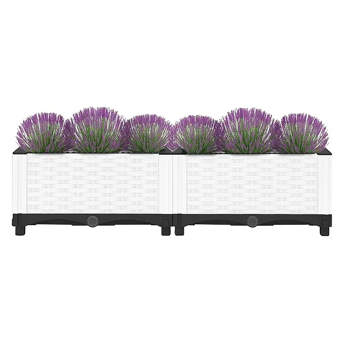 Furnicato Hochbeet - 80 x 40 x 23 cm, Kunststoff, Weiß - Zwei weiße rechteckige Pflanzgefäße im Rattan-Stil mit schwarzem Sockel, gefüllt mit leuchtend violetten lavendelartigen Pflanzen.