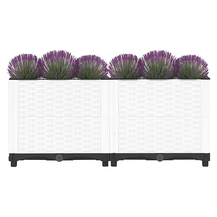 Furnicato Hochbeet - 40 x 80 x 38 cm, Kunststoff, Weiß - Weißer Blumenkasten in Rattanoptik mit lebhaften lila Blütenpflanzen. Modulares Design mit dunklem Sockel.