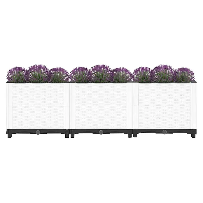 Furnicato Hochbeet - 120 x 40 x 38 cm, Kunststoff, Weiß - Drei verbundene weiße Pflanzgefäße in Rattan-Optik mit lila Pflanzen.
