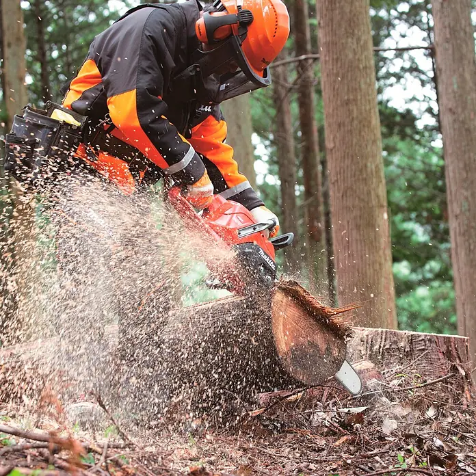 Makita XGT 40V max. Akku-Kettensäge UC030GZ03 - 40 V, Ohne Akku, Schwertlänge: 50 cm - Eine Person in Schutzkleidung bedient eine rote und schwarze Makita Kettensäge, die einen Baumstamm schneidet und Sägespäne erzeugt.