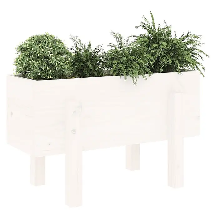 Furnicato Hochbeet - 30 x 62 x 38 cm, Holz, Weiße Kiefer - Weißer Holz-Pflanzkasten auf Beinen, gefüllt mit verschiedenen Grünpflanzen.