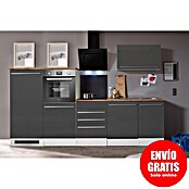 Respekta Premium Composición de cocina (Ancho: 290 cm, Con dispositivos eléctricos, Gris de alto brillo)