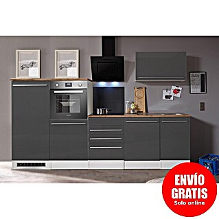 Respekta Premium Composición de cocina Gabriel (Ancho: 290 cm, Gris, Con electrodomésticos)
