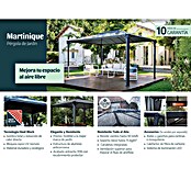 Palram Pérgola (L x An: 360 x 295 cm, Bronce)