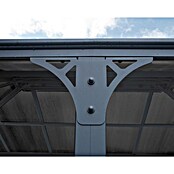 Palram Pavillon Martinique 5000 (L x B: 492 x 359 cm, Bronze)