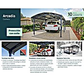 Palram Carport (L x An: 435 x 359 cm, Altura de entrada: 219 cm)