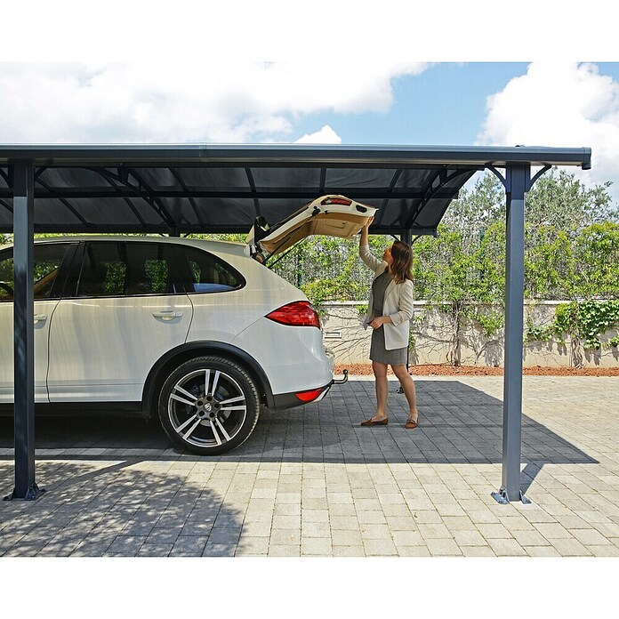 Palram Carport (L x An: 502 x 362 cm, Altura de entrada: 1,95 m)