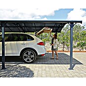Palram Carport (L x An: 502 x 362 cm, Altura de entrada: 1,95 m)