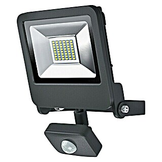Ledvance LED reflektor Endura Flood (Antracit, Senzor, 30 W, IP44)