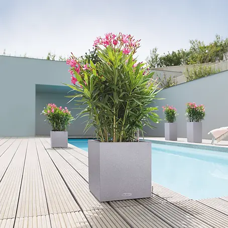 Balkon-Blumentpfe online kaufen bei BAUHAUS