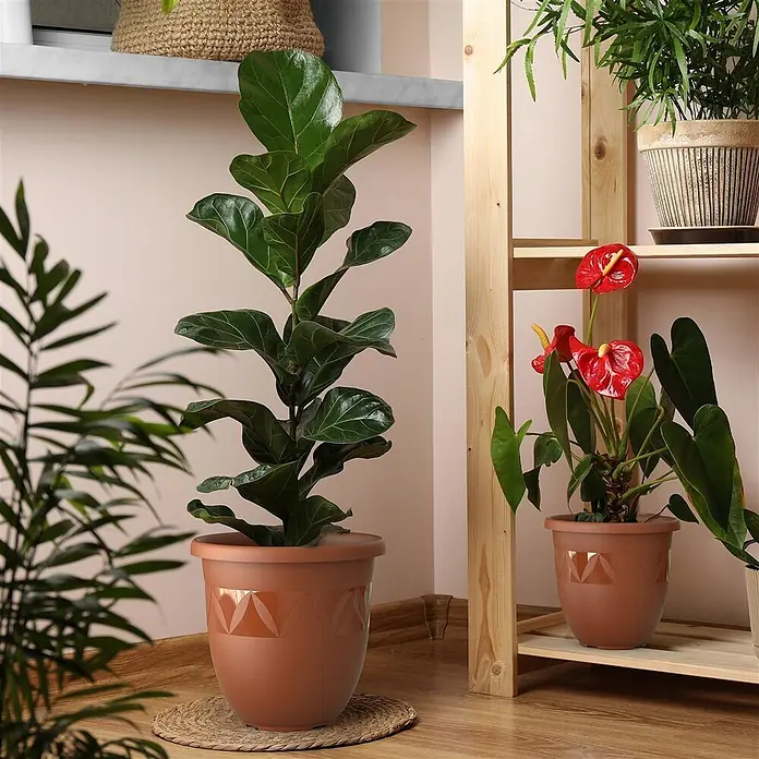 Plastard Pflanztopf Capri 5er Set - Außenmaß (Ø x H): 27 x 22 cm, Kunststoff, Terrakotta - Brauner Kunststoff-Blumentopf mit geometrischem Muster, der eine große grüne Pflanze enthält.