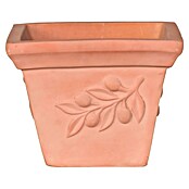 Pflanztopf Terra Olive (Terrakotta, L x B x H: 32 x 32 x 25 cm, 1 Stk.) | BAUHAUS