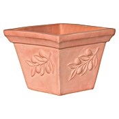 Pflanztopf Terra Olive (Terrakotta, L x B x H: 32 x 32 x 25 cm, 1 Stk.) | BAUHAUS