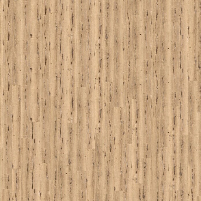 Living by Haro Laminat Gran Via Eiche Italica Creme (2.200 x 243 x 8 mm, Landhausdiele)