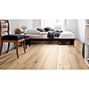 Living by Haro Laminat Gran Via Eiche Italica Creme (2.200 x 243 x 8 mm, Landhausdiele)