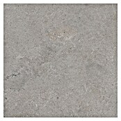 RAK Ceramics Feinsteinzeugfliese Valdi (60 x 60 cm, Taupe, Matt) | BAUHAUS