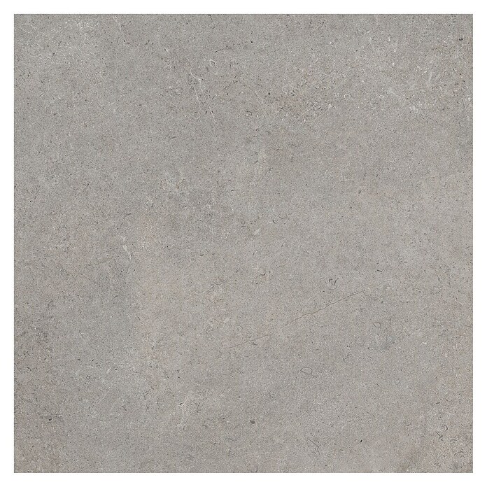 RAK Ceramics Feinsteinzeugfliese Valdi (60 x 60 cm, Taupe, Matt) | BAUHAUS