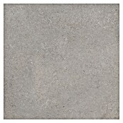 RAK Ceramics Feinsteinzeugfliese Valdi (60 x 60 cm, Taupe, Matt) | BAUHAUS
