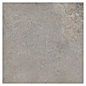 RAK Ceramics Feinsteinzeugfliese Valdi (60 x 60 cm, Taupe, Matt) | BAUHAUS
