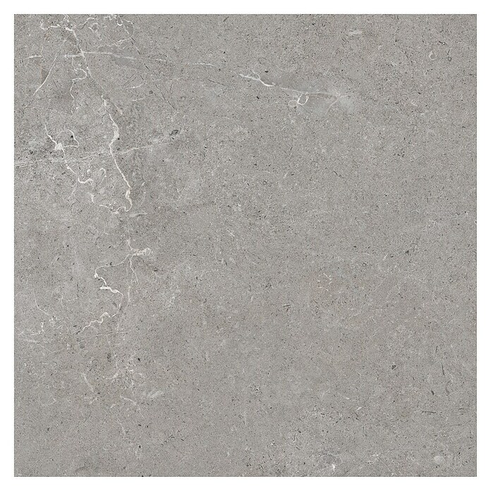 RAK Ceramics Feinsteinzeugfliese Valdi (60 x 60 cm, Taupe, Matt) | BAUHAUS