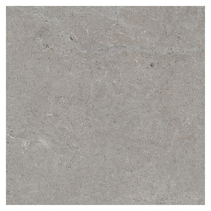 RAK Ceramics Feinsteinzeugfliese Valdi (60 x 60 cm, Taupe, Matt) | BAUHAUS