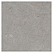 RAK Ceramics Feinsteinzeugfliese Valdi (60 x 60 cm, Taupe, Matt) | BAUHAUS