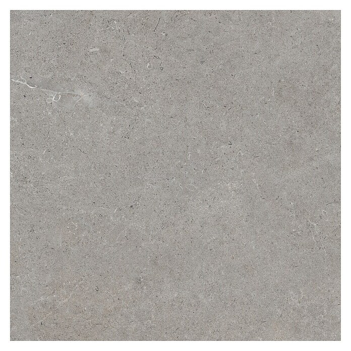 RAK Ceramics Feinsteinzeugfliese Valdi (60 x 60 cm, Taupe, Matt) | BAUHAUS