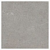 RAK Ceramics Feinsteinzeugfliese Valdi (60 x 60 cm, Taupe, Matt) | BAUHAUS