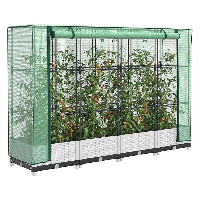 Furnicato Hochbeet Inklusive Gewächshaus-Aufsatz - 160 x 40 x 110 cm, Kunststoff, Weiß - Grünes Netzgewächshaus über weißen Hochbeeten im Rattan-Stil mit Tomatenpflanzen.