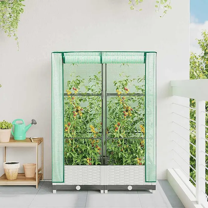 Furnicato Hochbeet Inklusive Gewächshaus-Aufsatz - 80 x 40 x 123 cm, Kunststoff, Weiß - Grünes Mini-Gewächshaus mit transparenten Paneelen und weißem Sockel auf einem Balkon, zum Anbau von Tomatenpflanzen.