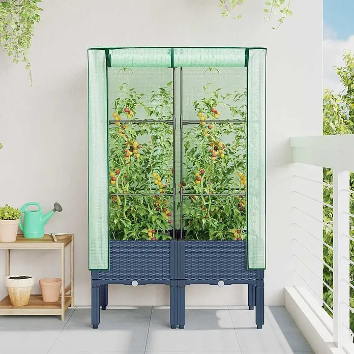 Furnicato Hochbeet Inklusive Gewächshaus-Aufsatz - 80 x 40 x 140 cm, Kunststoff, Blaugrau - Dunkelblauer Hochbeet mit grüner Mini-Gewächshausabdeckung, voller reifender Tomaten, auf einem Balkon.
