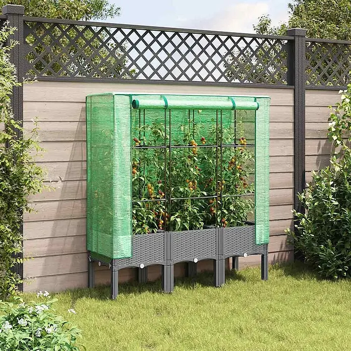 Furnicato Hochbeet Inklusive Gewächshaus-Aufsatz - 120 x 40 x 140 cm, Kunststoff, Hellgrau - Graues Hochbeet im Rattan-Stil mit grünem Netz-Gewächshaus, gefüllt mit Tomatenpflanzen, im Garten.