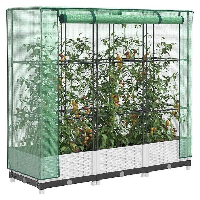 Furnicato Hochbeet Inklusive Gewächshaus-Aufsatz - 120 x 40 x 110 cm, Kunststoff, Weiß - Hochbeet mit weißem Rattan-Optik-Sockel und grünem Netz-Minigewächshaus, bepflanzt mit Tomaten.