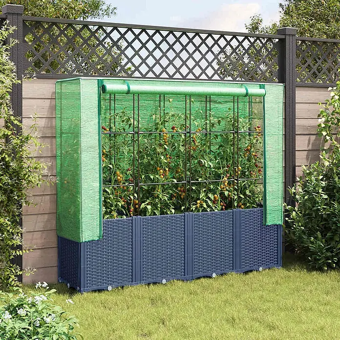 Furnicato Hochbeet Inklusive Gewächshaus-Aufsatz - 160 x 40 x 110 cm, Kunststoff, Blaugrau - Dunkelgraues Hochbeet in Rattan-Optik mit grünem Gewächshaus-Überzug, Tomatenpflanzen zeigend, im Garten platziert.