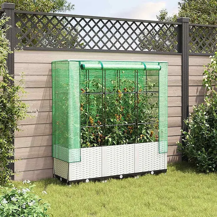 Furnicato Hochbeet Inklusive Gewächshaus-Aufsatz - 120 x 40 x 138 cm, Kunststoff, Weiß - Grünes Mini-Gewächshaus mit weißen Hochbeeten voller Tomatenpflanzen, draußen an einem Zaun.
