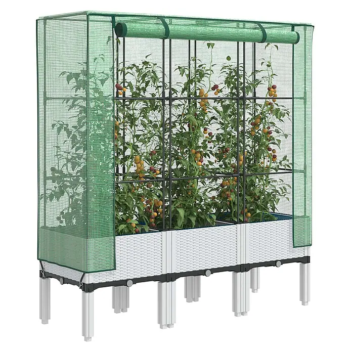 Furnicato Hochbeet Inklusive Gewächshaus-Aufsatz - 120 x 40 x 110 cm, Kunststoff, Weiß - Erhöhtes weißes Rattan-Hochbeet mit grünem Netz-Gewächshausabdeckung und gedeihenden Tomatenpflanzen mit Früchten.
