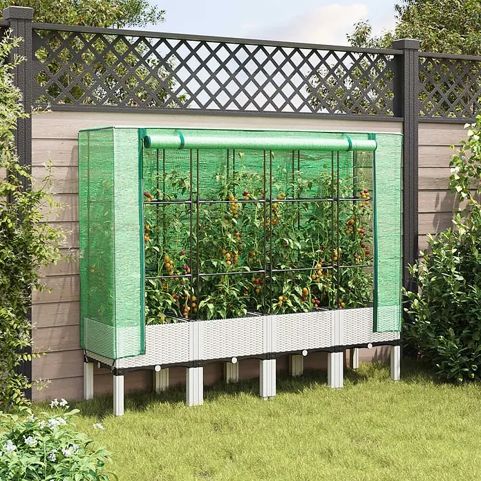 Furnicato Hochbeet Inklusive Gewächshaus-Aufsatz - 160 x 40 x 110 cm, Kunststoff, Weiß - Weißes Hochbeet mit grünem Gittergewächshaus, in dem Tomaten im Garten wachsen.