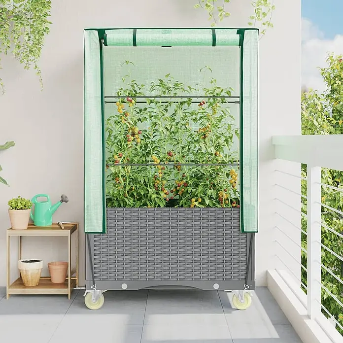 Furnicato Hochbeet Inklusive Gewächshaus-Aufsatz - 80 x 50 x 182 cm, Kunststoff, Hellgrau - Ein graues geflochtenes Hochbeet mit transparenter grüner Gewächshausabdeckung, gefüllt mit Tomatenpflanzen, auf Rollen.