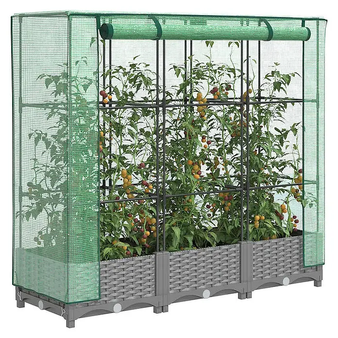Furnicato Hochbeet Inklusive Gewächshaus-Aufsatz - 120 x 40 x 110 cm, Kunststoff, Hellgrau - Graues Hochbeet im Rattan-Stil mit grünem Netz-Gewächshausabdeckung, enthält Tomatenpflanzen mit reifenden Früchten.