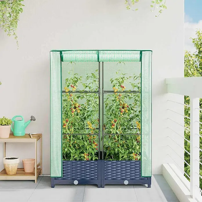 Furnicato Hochbeet Inklusive Gewächshaus-Aufsatz - 80 x 40 x 110 cm, Kunststoff, Blaugrau - Hohes freistehendes Gewächshaus mit transparenter Abdeckung und dunkelblauen Pflanzgefäßen, auf einem Balkon mit Tomatenpflanzen.