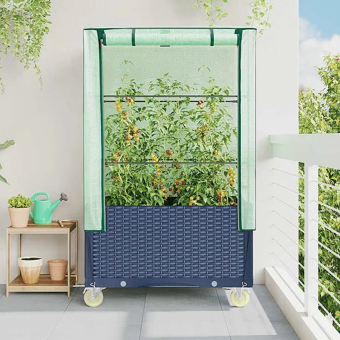 Furnicato Hochbeet Inklusive Gewächshaus-Aufsatz - 80 x 50 x 182 cm, Kunststoff, Blaugrau - Dunkelblaues Hochbeet in Rattanoptik mit hellgrüner Mini-Gewächshausabdeckung, auf Rollen, gefüllt mit Tomatenpflanzen auf einem Balkon.