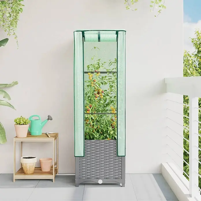 Furnicato Hochbeet Inklusive Gewächshaus-Aufsatz - 40 x 40 x 139 cm, Kunststoff, Hellgrau - Hoher grauer Pflanzenschrank in Rattan-Optik mit hellgrüner Abdeckung, Tomatenpflanzen auf einem Balkon.