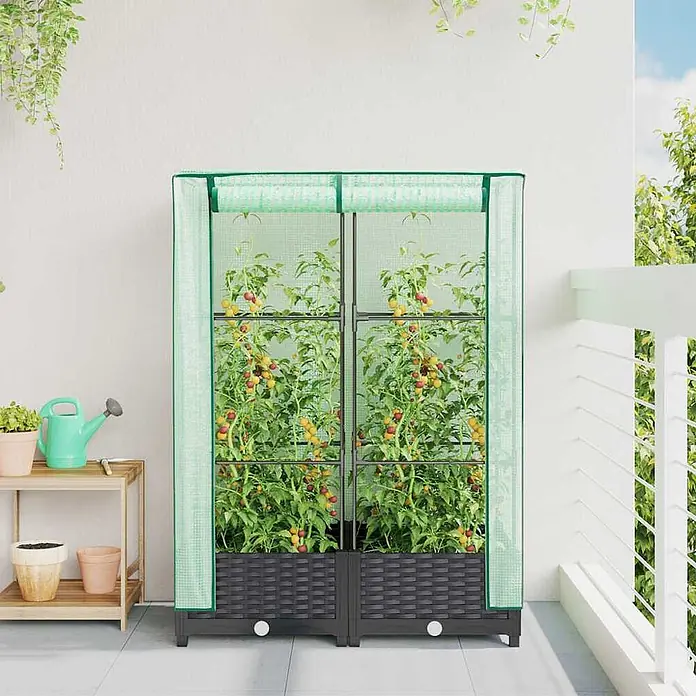 Furnicato Hochbeet Inklusive Gewächshaus-Aufsatz - 80 x 40 x 110 cm, Kunststoff, Schwarz - Grünes zweigeteiltes Mini-Gewächshaus mit dunkelgrauen Rattan-Pflanzgefäßen, gefüllt mit Tomatenpflanzen auf einem Balkon.