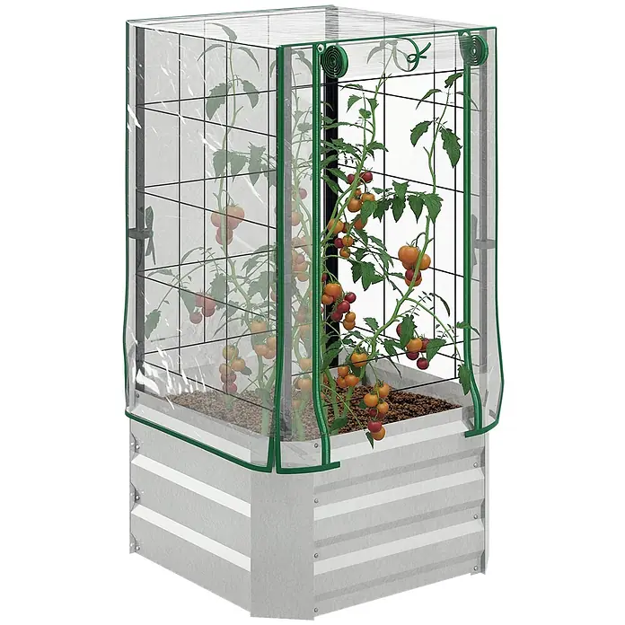Furnicato Hochbeet Inklusive Gewächshaus-Aufsatz - 53 x 53 x 90 cm, Verbundwerkstoff, Silber - Erhöhtes Wellblech-Hochbeet mit transparenter Gewächshausabdeckung und Tomatenpflanzen.